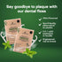 Natural Dental Floss Picks - Oral Care Dental Pick w/Mint Flavored Toothpicks, 2-in-1 Natural Floss & Toothpicks, Plant-Based Dental Flossers, Too...