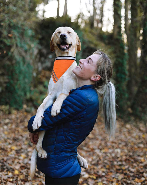 Reflective Dog Bandana Velcro Safety Scarf 2 Pack Orange Dog Reflective Gear...