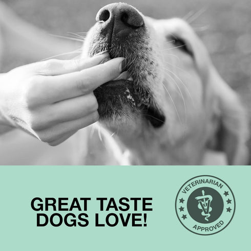 Bacon Pill Paste for Dogs - Dog Pill Treats Enriched with Dietary Fiber, Protein - Pill Wrap for Dogs' Supplements & Medicine - Fits Most Sizes of...