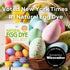 Natural Earth Paint Egg Dye Kit – Eco-Friendly, Non-Toxic Easter Egg Coloring for Kids & Adults – 4 Food-Safe Dyes, No Boiling Needed, Mixable Col...