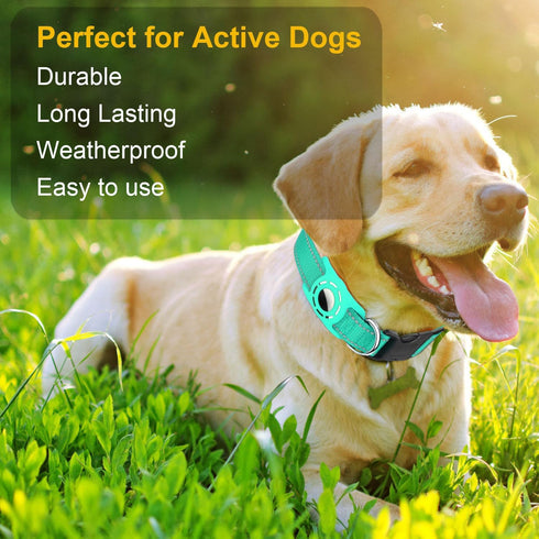 Airtag Dog Collar for Small Dogs, Reflective Dog Collars with Silicone AirTag Holder, Nylon Adjustable Dog Collars for Medium Large Dogs, Teal...