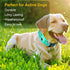 Airtag Dog Collar for Small Dogs, Reflective Dog Collars with Silicone AirTag Holder, Nylon Adjustable Dog Collars for Medium Large Dogs, Teal...