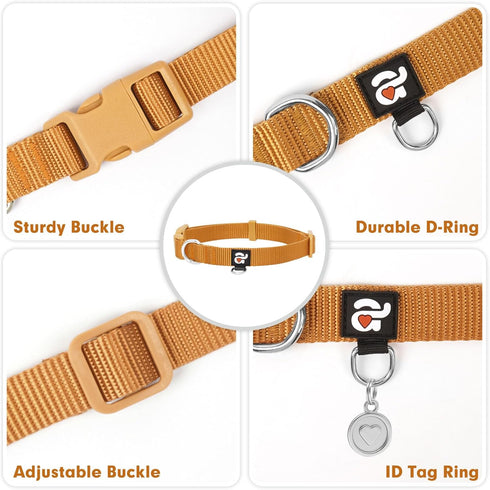 azuza Nylon Fall Dog collar and Leash set, Strong & Durable Basic Style Leash with Easy to Use Collar Hook, Available in Multiple Lengths for Smal...