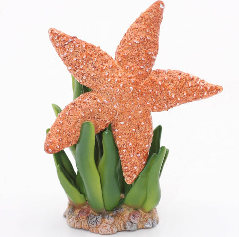 Gemini&Genius Starfish Toys for Kids, Realistic Starfish Action Figure, Starfish Figurine Toy, Under The Sea Life Figure Educational Gifts, Displa...