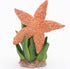 Gemini&Genius Starfish Toys for Kids, Realistic Starfish Action Figure, Starfish Figurine Toy, Under The Sea Life Figure Educational Gifts, Displa...