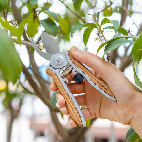 Berry&Bird Mini Pruning Shears for Gardening Curved Blades Hand Pruners with Wooden Handle Garden Scissors Snips Stainless Steel Trimming Small Cl...