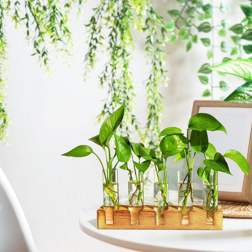 Plant Propagation Station, Plant Terrarium with Wooden Stand for Hydroponics Plants Office Decor Unique Gardening Gifts for Women Plant Lovers - 5...