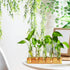 Plant Propagation Station, Plant Terrarium with Wooden Stand for Hydroponics Plants Office Decor Unique Gardening Gifts for Women Plant Lovers - 5...
