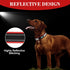 AUAUY Nylon Dog Collar, Pet Dog Reflective Collar, Ultra Soft Neoprene Padded, Adjustable Reflective Stitching Pet Collar with Durable Metal Buckl...