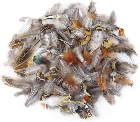 180pcs 9 Styled Natural Feathers Assorted Mixed Feathers for Jewelry and Dream Catcher Crafts...