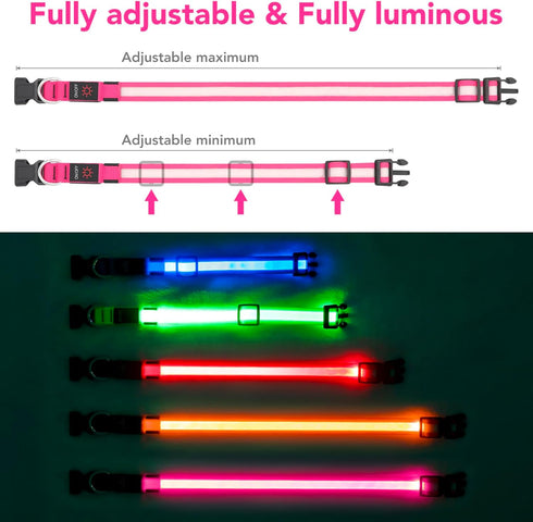 LED Dog Collar, Light Up Dog Collar Adjustable USB Rechargeable Super Bright Safety Light Glowing Collars for Dogs (Large, Pink)...
