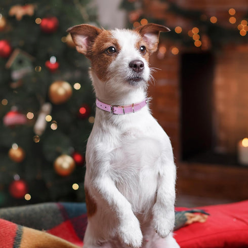 Small Dog Collars Rhinestones Pet Dog Collars Bling Diamond Puppy Collars Glitter Jewel Puppy Collar for Small Dog Pet, XS...