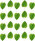 Awesome Aquatic Mulberry Shrimp Leaves Natural Botanical Leaf Food Organic Treat Aquarium Fish Shrimp Terrarium High Protein Vitamin Mineral Fiber...