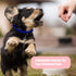 16pcs Puppy ID Collars, Soft Polyester Adjustable Whelping Collars Puppy Identification Collars Kitten Collars Newborn Puppies Supplies for Litter...