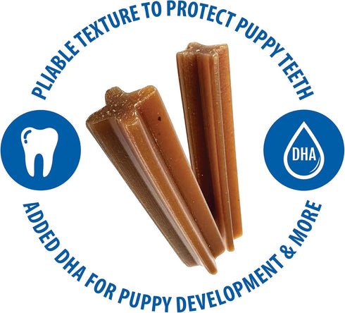 N-Bone Jumbo Puppy Teething Sticks Pumpkin Flavor Dog Treats, 7 Count 7.28-oz Bag...