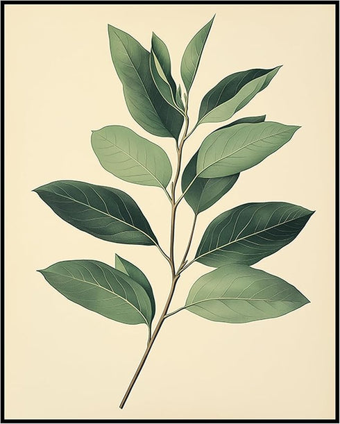 Posterizer 1 pcs-plant leaves-Chic art for plant lovers 11-Floral & Botanical Art-Workplace & Office Art-Living Room Bedroom Decor- unframed wall ...