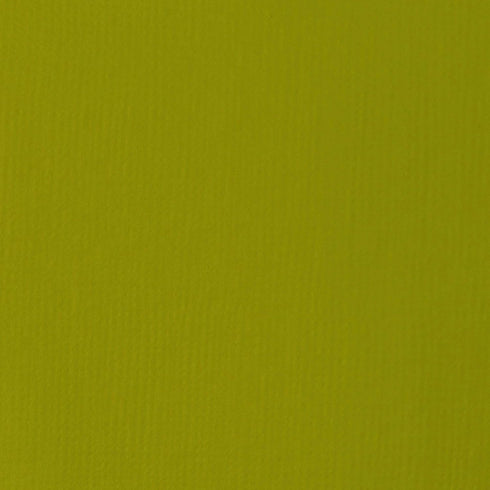 Liquitex BASICS Acrylic Paint, 118ml (4-oz) Tube, Light Olive Green...