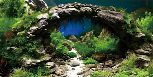AWERT 24x12 inches Arch Stone Aquarium Background River Bed & Lake Aquarium Vinyl Background Aquatic Plant Fish Tank Background...