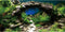 AWERT 24x12 inches Arch Stone Aquarium Background River Bed & Lake Aquarium Vinyl Background Aquatic Plant Fish Tank Background...