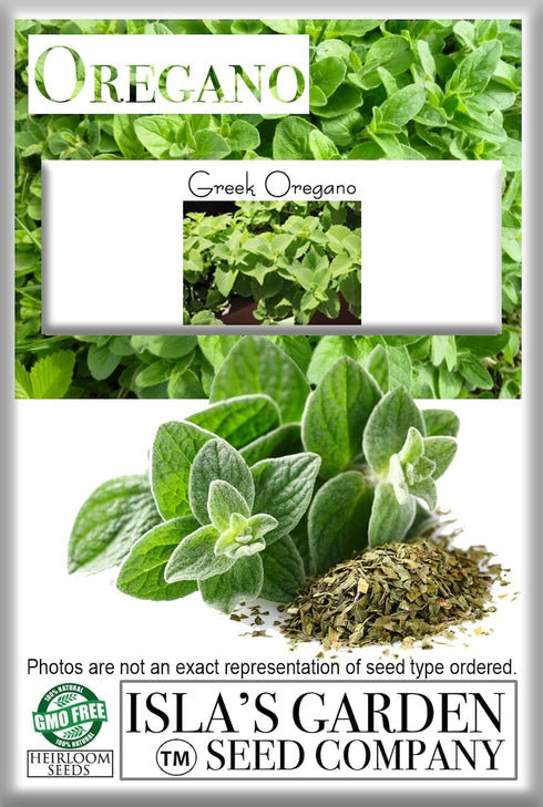 Greek Oregano Herb Seeds for Planting, 2500+ Seeds Per Packet, (Isla's Garden Seeds), Non GMO & Heirloom Seeds, Botanical name: Origanum vulgare, ...