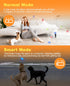 LED Dog Ball Rechargeable, Light Up Dog Ball Toys, Bounce-Activated Durable Fetch Ball, Natural Rubber, Unique Scent, 2.5 inches, for Small & Medi...