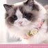 Pet Flower Collar with Adjustable Ribbon Small Dog Wedding Attire Wreath Bow Pink Cat Floral Collar Dog Flower Ring for Wedding Ceremony Small Dog...