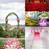 Nine to Nine Pack of 1000 Rose Petals, Artificial Flowers for Decoration Wedding Party (Champagne)...