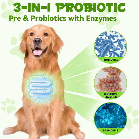 3 in 1probiotics for Dogs,Dog probiotics and Digestive enzymes,Dog Digestive Health Gut, Immune Bowel Support, Reduce Diarrhea, Dog Probiotics Sup...