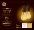 GE Lighting Vintage Style LED Light Bulbs, 6 Watts (60 Watt Equivalent) Warm Candle Light, Amber Glass, Medium Base, Dimmable (2 Pack)...