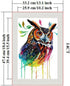 ITSTITCH Stamped Cross Stitch Kits - Full Set of Embroidery for Beginners or Adults,14 CT 2 Strands DIY Colorful Owl Patterns Counted Arts Craft 1...