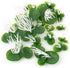 Framendino, 36 Pack Artificial Mini Duckweed with Root Plastic Floating Fish Plants for Aquarium Fish Tank Decor...