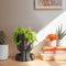 T4U Face Planter Pot, Unique Plant Pots for Indoor Plants, Head Planter, Ceramic Cool Plant Pots, Succulent Pots with Drainage Hole, Cactus Pot, P...