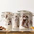 MiniWare Clear Plastic Mason Jar (Pack Of 4) - 3 Oz. - Chic Design, Perfect for Parties, Events, Food Storage, Party Favors, DIY Crafts, & More...