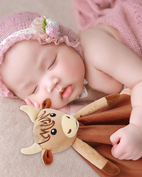 Highland Cow Baby Girl Security Blanket-Floral Highland Cow lovey-Baby nursery stuff-Gfit for Newborn Girl Baby shower...