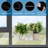 2Packs Window Shelf for Plants Indoor, 12inch Acylic Clear Floating Wall Shelf Decor, Window Sill Extender for Flower Pots, Self-Adhesive Wall Han...