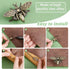PH PandaHall 6 Sets, 6 Colors 3D Bee Shape Bag Turn Buckles Alloy Purse Lock Purse Clasp Closure Lock Clutch Closure for DIY Leathercraft Shoulder...