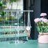 Premium Jewelry Stand , Solid Clear 2-Tier Acrylic Jewelry Organizer Stand & Bracelet holder Stand for Necklace Display, Ring & Watch Display...