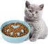 Slow Feeder Cat Bowls, Ceramic Fun Slow Eater Bowl for Cats (Turquoise)...