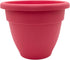 The HC Companies 12 Inch Caribbean Planter - Lightweight Indoor Outdoor Plastic Plant Pot for Herbs and Flowers, Pink Rose...