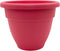 The HC Companies 6 Inch Caribbean Planter - Lightweight Indoor Outdoor Plastic Plant Pot for Herbs and Flowers, Pink Rose...