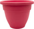 The HC Companies 6 Inch Caribbean Planter - Lightweight Indoor Outdoor Plastic Plant Pot for Herbs and Flowers, Pink Rose...