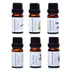Essential Oils by Pure Essentials 100% Pure Oils kit- Top 6 Aromatherapy Oils Gift Set-6 Pack, 10ML(Eucalyptus, Lavender, Lemon Grass, Orange, Pep...