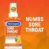 Chloraseptic Sore Throat Spray, Citrus, 6 fl oz, 1 Bottle...