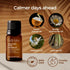 Gya Labs Deep Calm Essential Oil for Diffuser Blend - 100% Natural Calm Oil Essential Oil for Aromatherapy, Body, Uplift, Grounding & Relaxing (0....