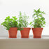 6 Pack Plastic Plant Pots with Drainage Holes and Tray, 4 inch Thickened Indoor Planters Seedlings Nursery Pots for Flowers, African Violet, Succu...