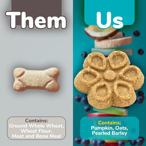 Fruitables Biggies Dog Biscuits – Crunchy Dog Biscuits Made with Pumpkin – Healthy Dog Treats Packed with Real Fruit Flavor – Free of Wheat, Corn ...