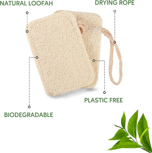 Natural Dishwashing Sponges (Pack of 6), Kitchen Eco Scrub Scourer, Natural Loofah Plant, Biodegradable and Zero Waste...