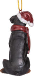 Design Toscano Christmas Xmas Rottweiler Holiday Dog Ornaments, Full Color...