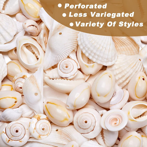 Cheriswelry 210pcs/box 21.5-24.5mm Natural Shell Making Finding Kit Ocean Beach Style Seashell Beads Pendants for DIY Necklace Bracelet Jewelry Ma...