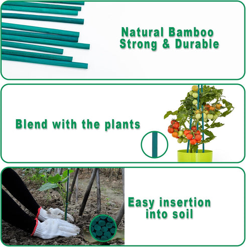 Plant Stakes 50 PCS Garden Green Bamboo Sticks Plant Support Stakes for Indoor and Outdoor Plants, Wooden Sign Posting Flower Pot Garden Stakes(15...